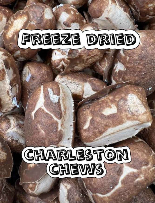 Freeze Dried Charleston Chew