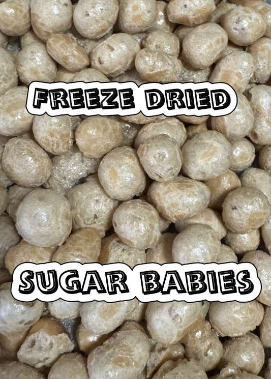 Freeze Dried Sugar Babies